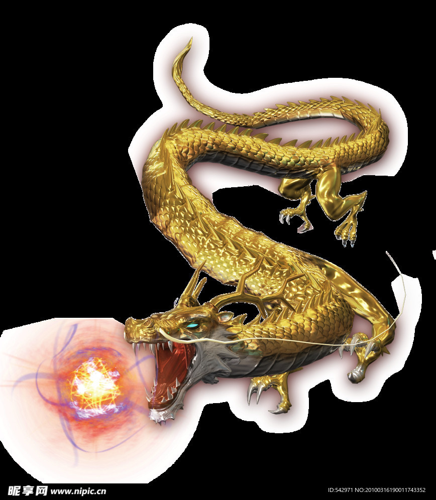 黄金龙