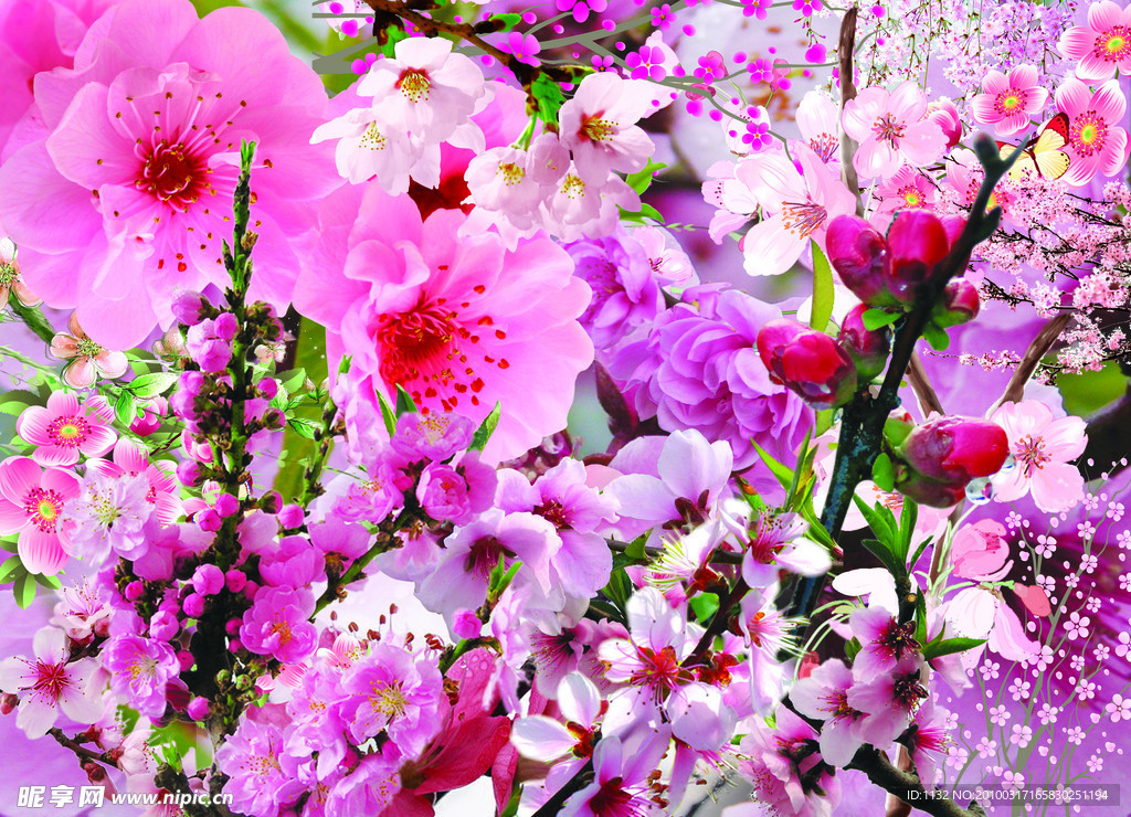 桃花