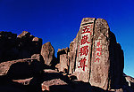 泰山五月独尊