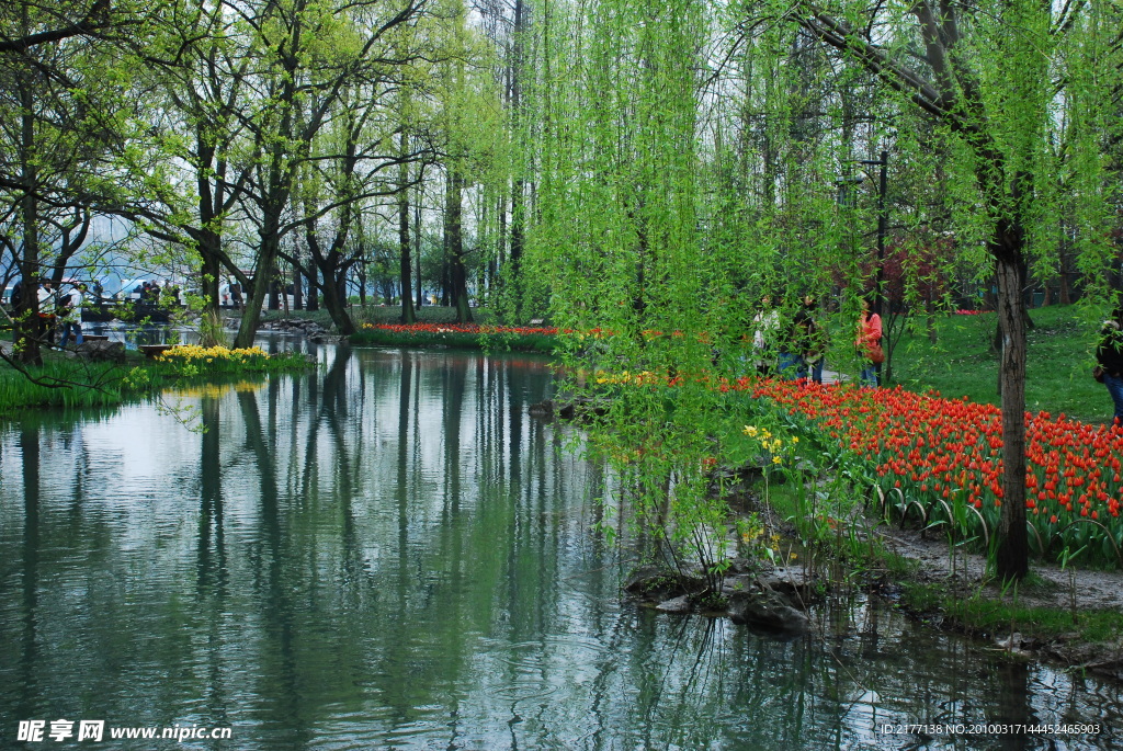 公园景色