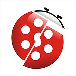 金甲虫