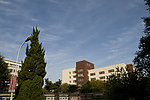 青岛大学