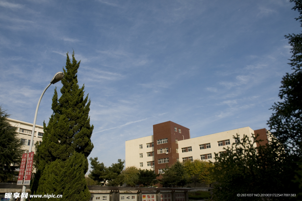 青岛大学