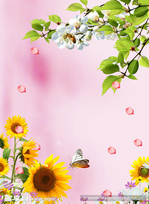 粉红花背景