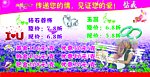 典雅