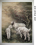 郭华 郭洪权_金风