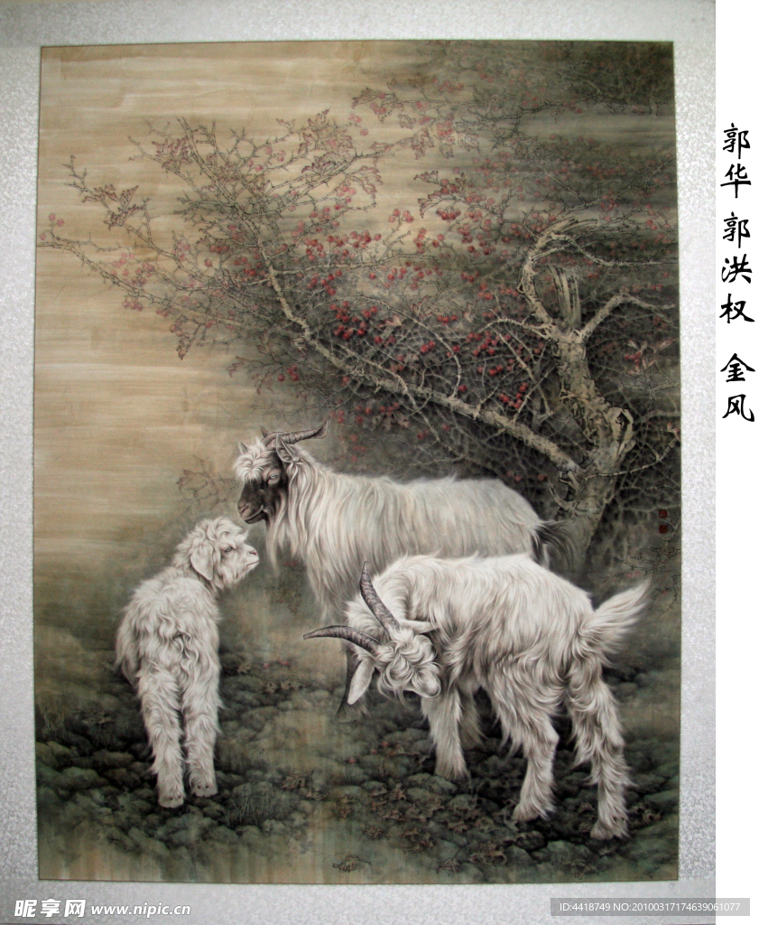 郭华 郭洪权_金风