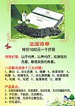 美容美体介绍说明画册