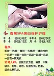 美容美体介绍说明画册