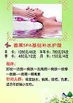 美容美体介绍说明画册