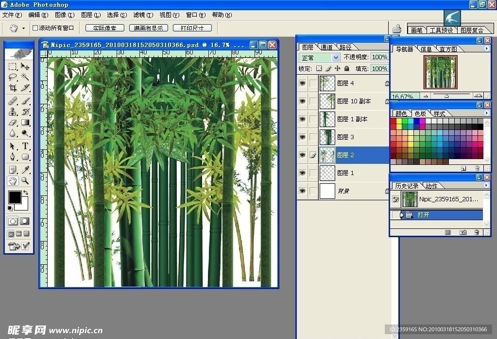 竹子