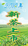 新茶