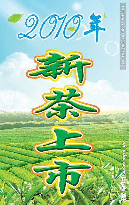 新茶