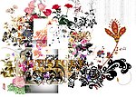 花纹