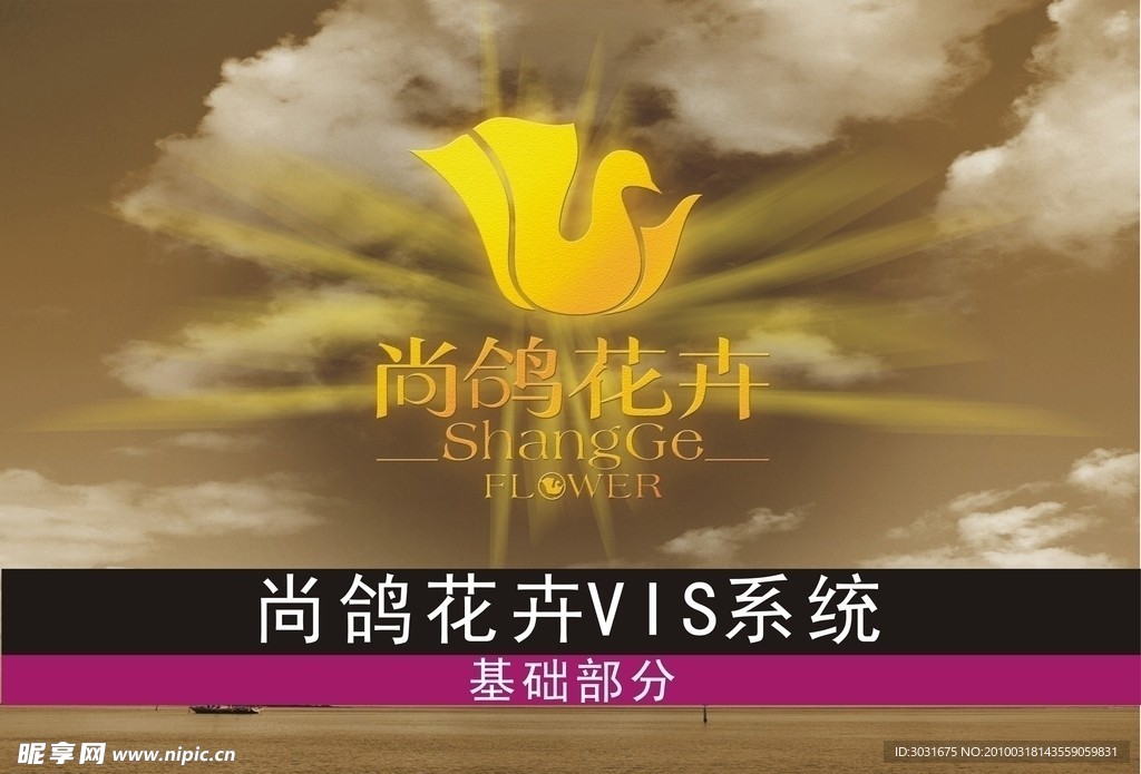 VIS设计