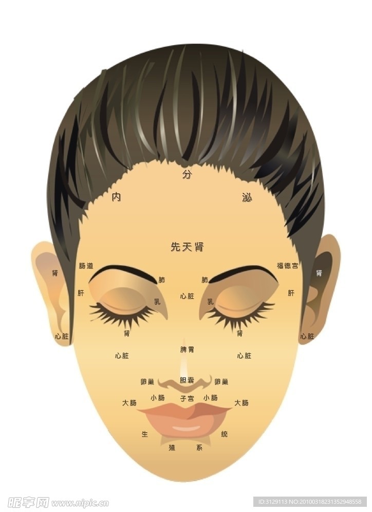 颜面视诊图