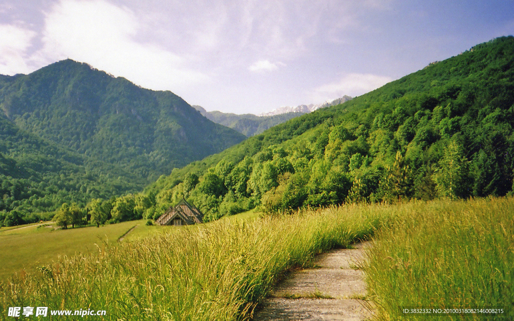 绿色山岳