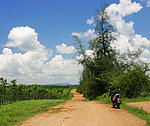 乡村小路