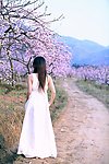 美女 桃花