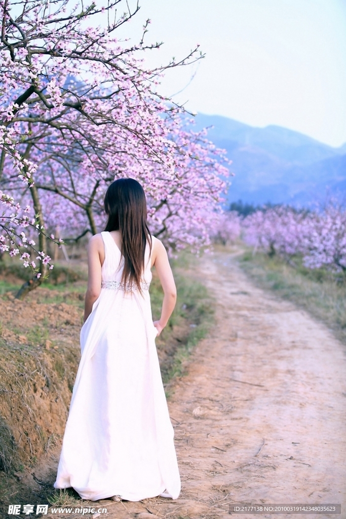 美女 桃花