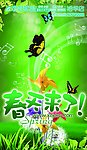 绚丽春天