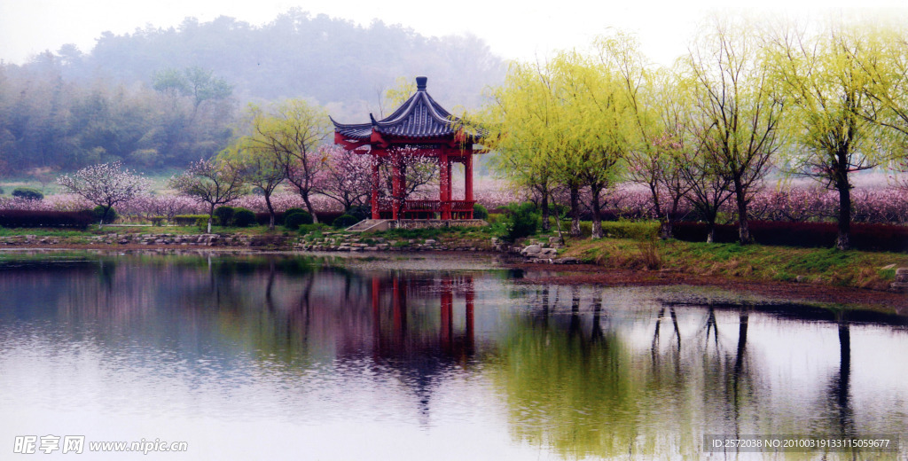 风景