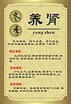 养肾