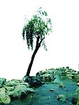水石