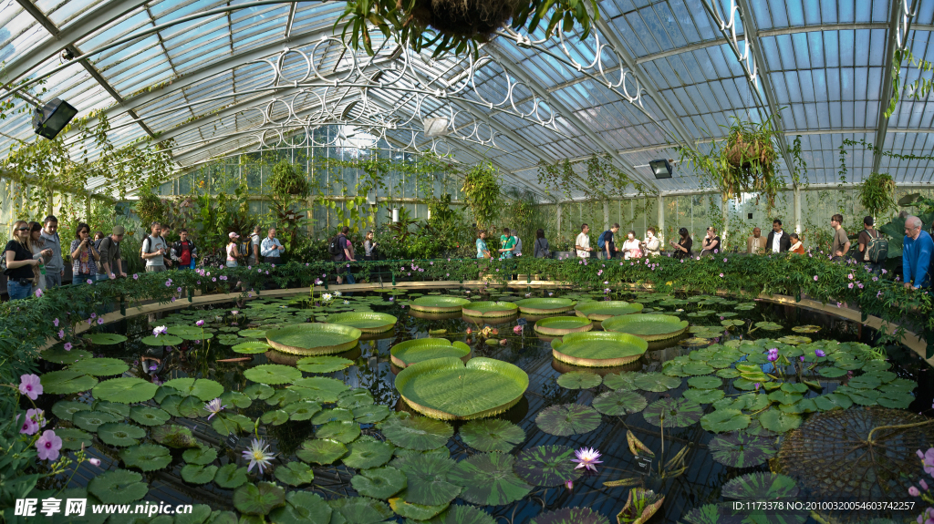 英国皇家植物园睡莲楼 伦敦 英国皇家 植物园睡莲楼 风景名胜 建筑景观 自然风景 旅游印记