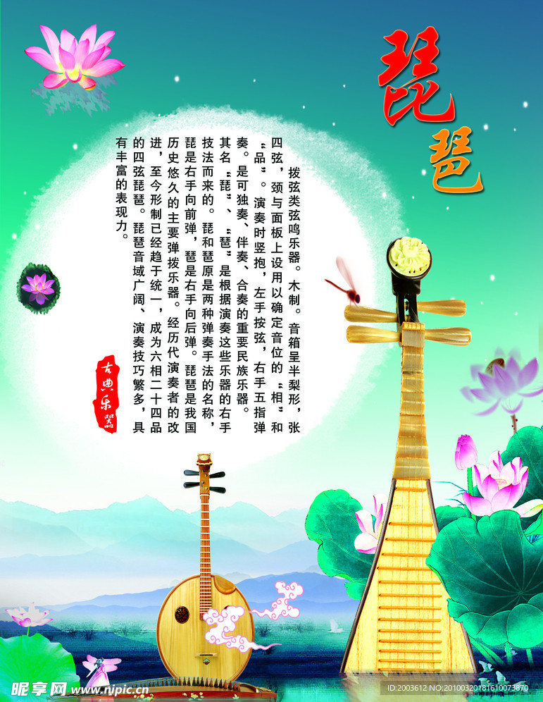 琵琶 荷花