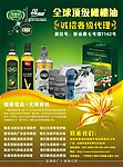 橄榄油宣传单