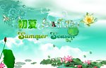 夏天海报