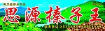 思源榛子王