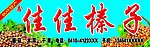 佳佳榛子