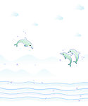 海豚宝宝