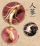 画册（分层不精细）