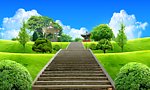蓝天 白云 草地 公园