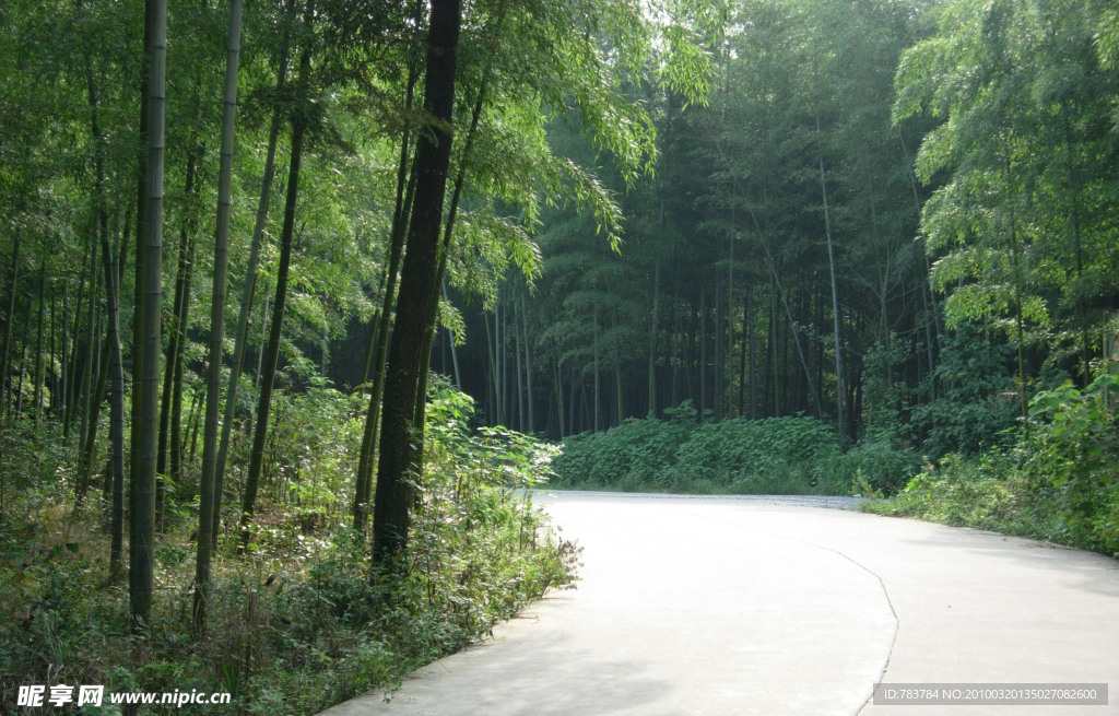 竹林 路