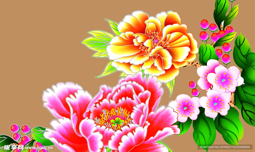 牡丹花