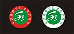 中国安康汉江龙舟文化节LOGO
