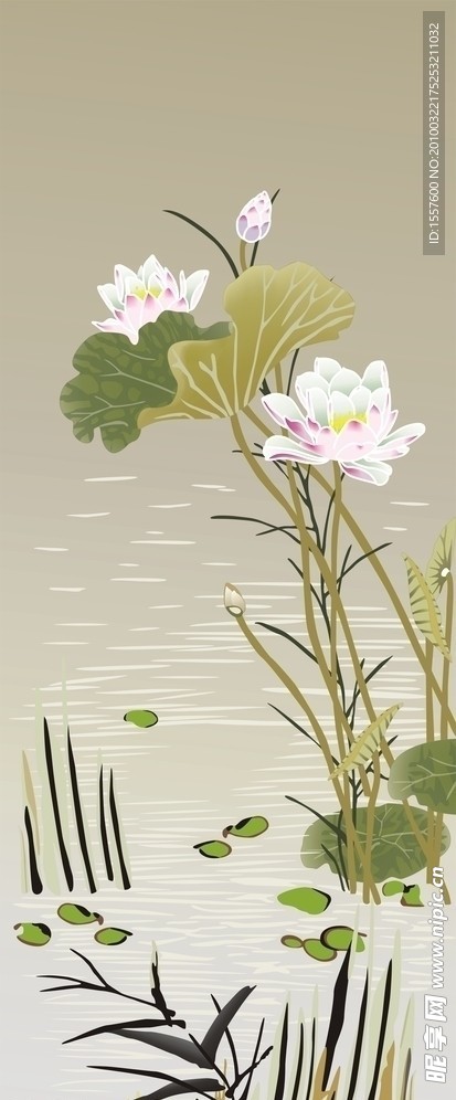 荷花
