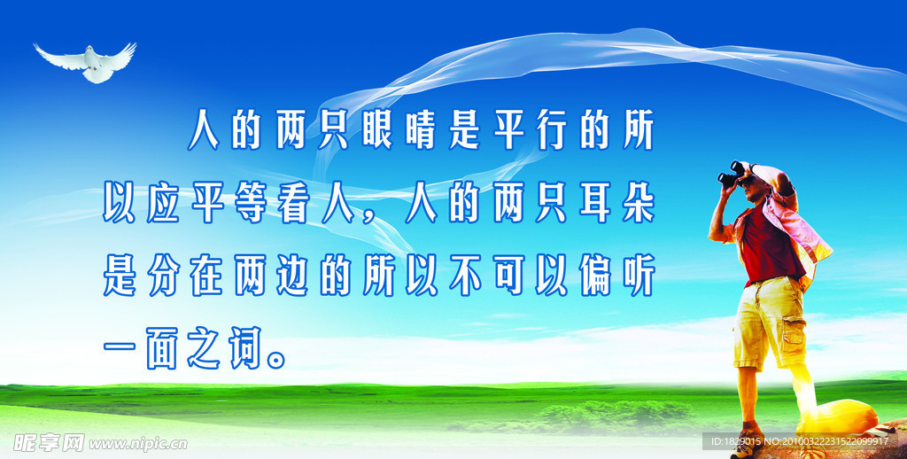 白鸽