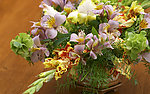 鲜花组合