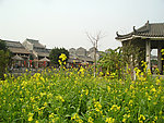 岭南建筑 传统建筑 油菜花