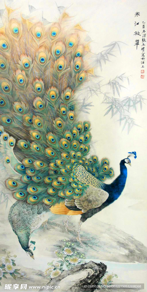 孔雀