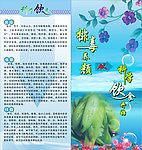 科学饮食二折页