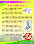 青少年吸烟的危害