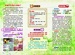 幼儿园三折页