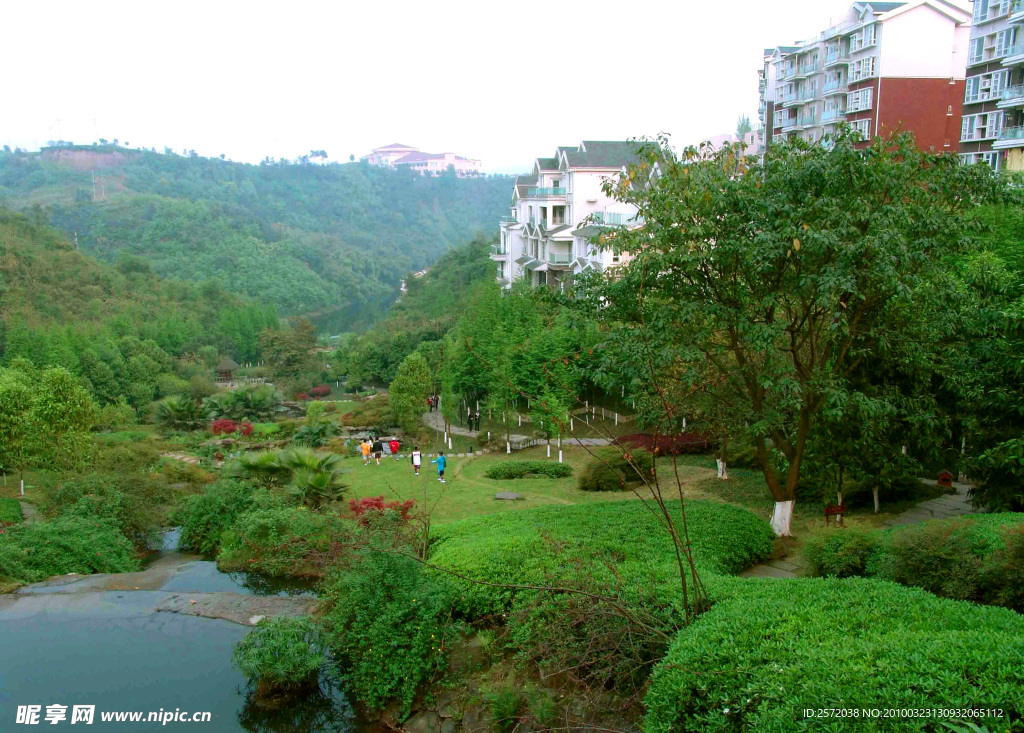 风景