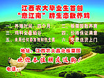 意江南